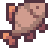 Raw Tuna