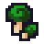 Barren Herb Seed