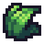 Funky Herb Seed
