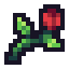 Lilly Herb Seed